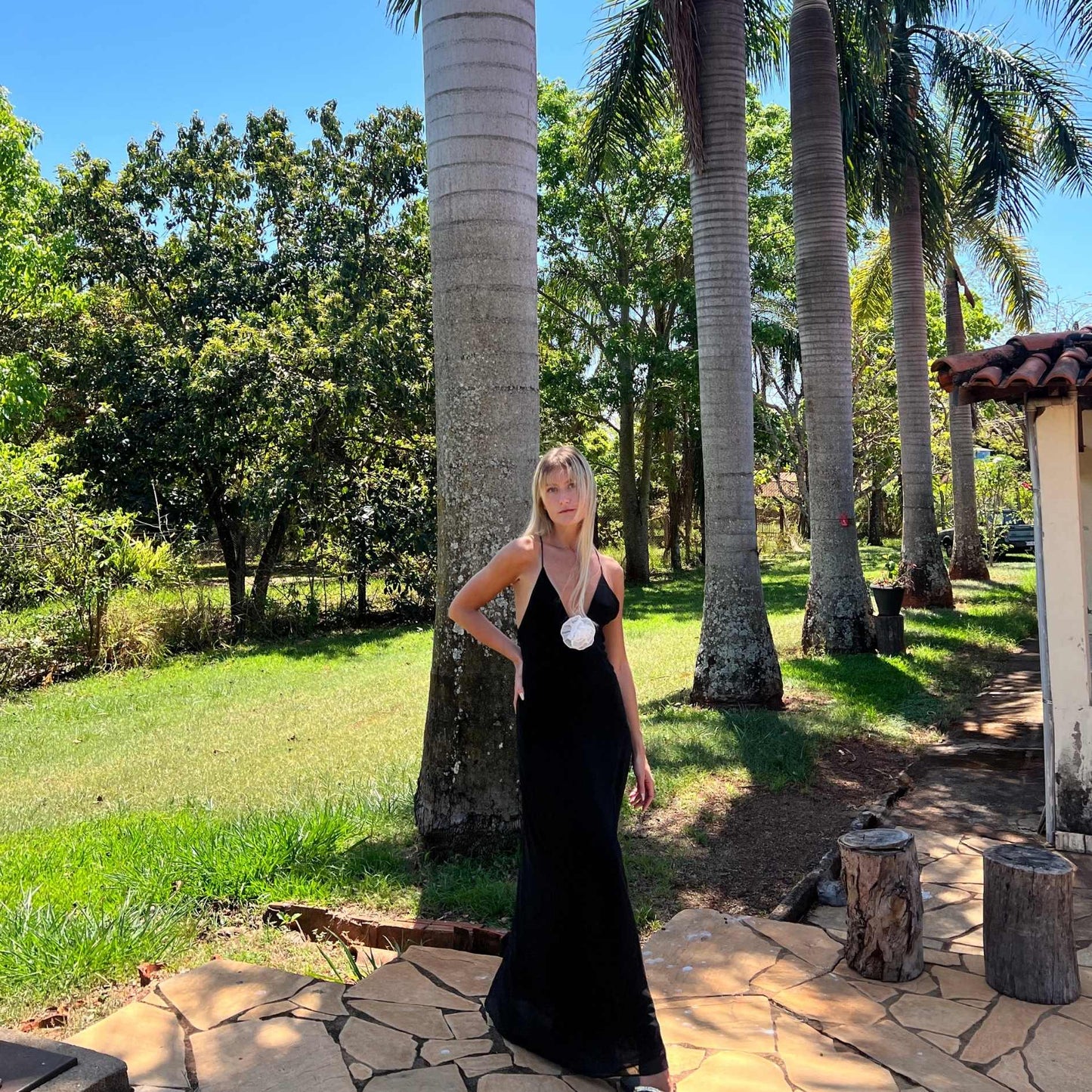 Vestido Maxi Sem Costas Alegra - Decote V Profundo | The Notte